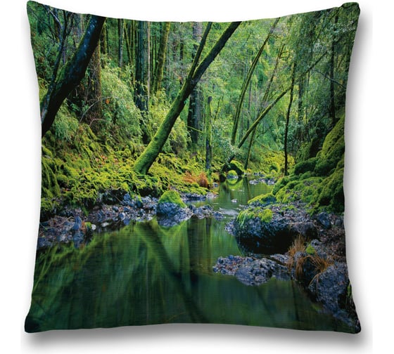 Декоративная наволочка JoyArty sl_8612 1