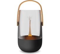 Ароматизатор ультразвуковой для эфирных масел Stadler Form Sophie, автоматический с подсветкой, черный S-003