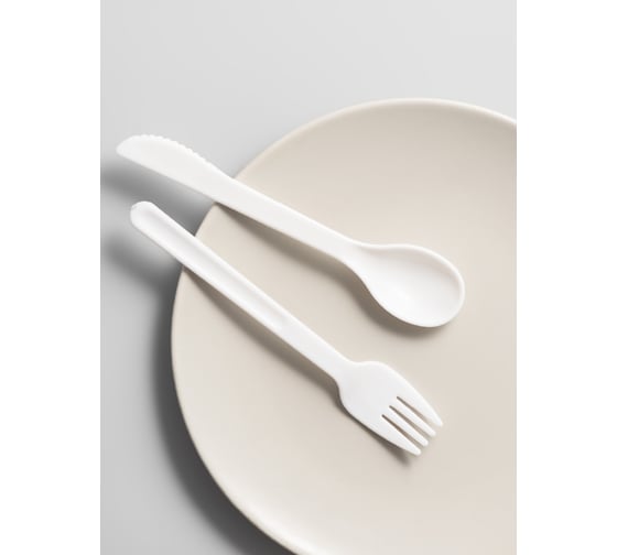 Пластиковый ланч-бокс с приборами SHINY KITCHEN 1100 мл 50357