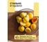 Фруктовница SHINY KITCHEN J0050 3
