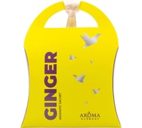 Ароматизированное саше AromaHarmony GINGER 10 г AH10225