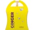 Ароматизированное саше AromaHarmony GINGER 10 г AH10225 1