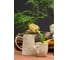 Кувшин Liberty Jones Birds of Paradise, 980 мл, кремовый CZ-LJ-JG-CR-980 4