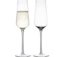 Набор бокалов для шампанского Liberty Jones Flavor, 370 мл, 2 шт. PS_LJ_FL_WGLS_370-2