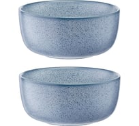 Набор чаш Liberty Jones Blueberry, 740 мл, синие, 2 шт. LT_LJ_CBWBL_CRG_740