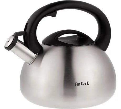 Металлический чайник TEFAL C7921024 2.5 л серебристый 358833