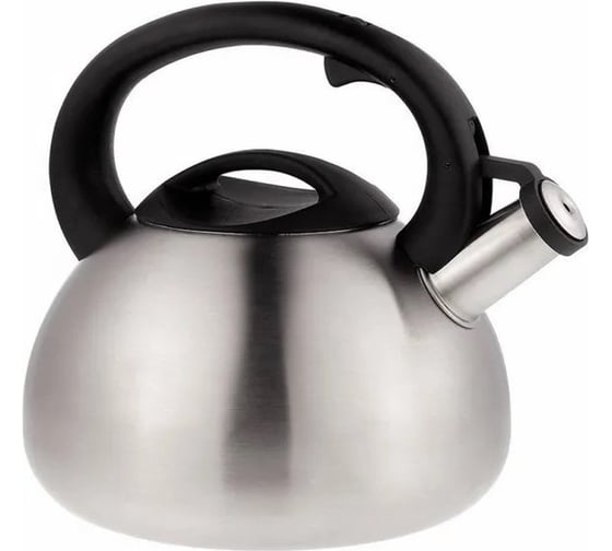 Металлический чайник TEFAL C7921024 2.5 л серебристый 358833