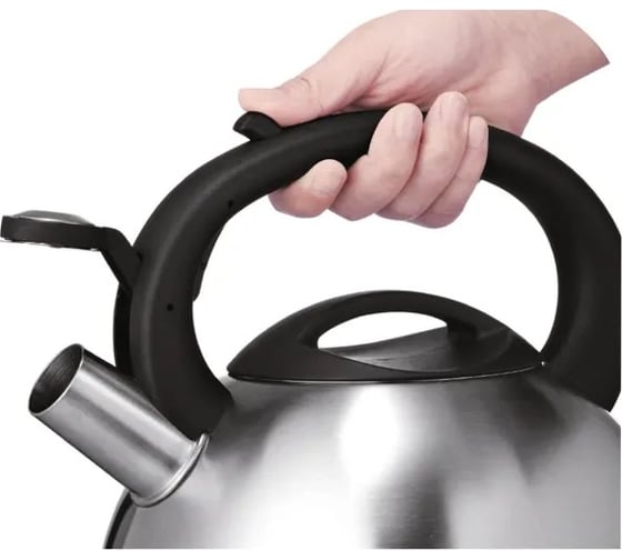Металлический чайник TEFAL C7921024 2.5 л серебристый 358833