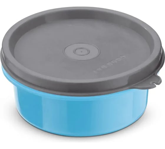 Ланч-бокс GOOD DAY MICRO STEEL 250 мл Blue GL31325BE