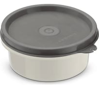 Ланч-бокс GOOD DAY MICRO STEEL 250 мл Grey GL31325GY