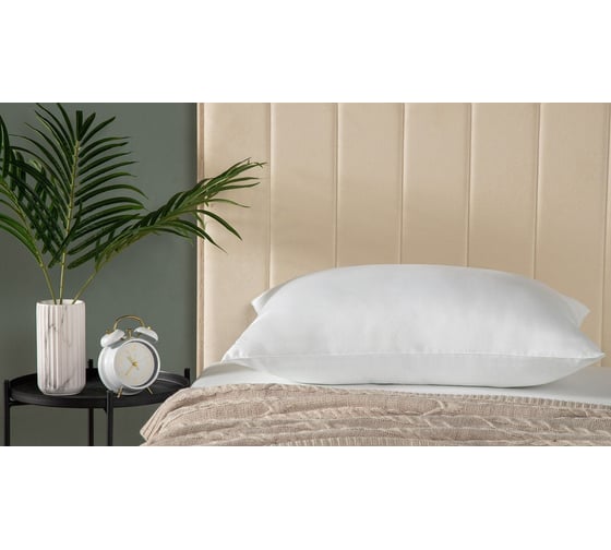 Подушка Askona 50x70, анатомическая, ray retail jkggjhgjg111111