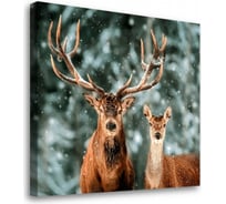 Постер-картина Студия Фотообоев заснеженные олени 50x50 2336631