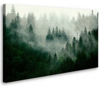 Постер-картина Студия Фотообоев туманный лес 120x75 2536630