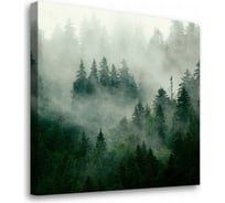 Постер-картина Студия Фотообоев туманный лес 50x50 см 2336630