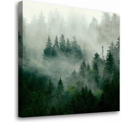 Постер-картина Студия Фотообоев туманный лес 50x50 см 2336630