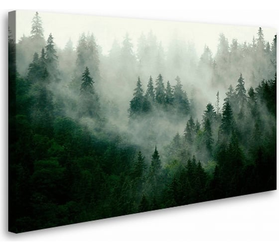 Постер-картина Студия Фотообоев туманный лес 80x50 см 2236630