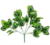 Аглаонема Вещицы искусственная, высота 45 см aj-227