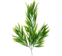 Папоротник нефролепис Вещицы ампельный, высота 85 см aj-221