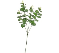 Ветка эвкалипта Вещицы высота 500 мм, зеленый aj-200