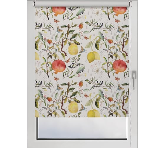 Рулонная штора PRAKTO PRINT 50x160 см Фрукты, мультиколор 9403217485 1