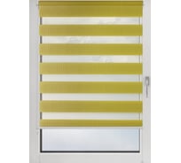 Рулонная штора PRAKTO DAY&NIGHT 110x150 см, зеленый 8313873