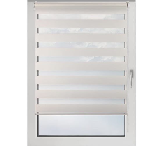 Рулонная штора PRAKTO DAY&NIGHT 45x160 см, белый 9403217608 1