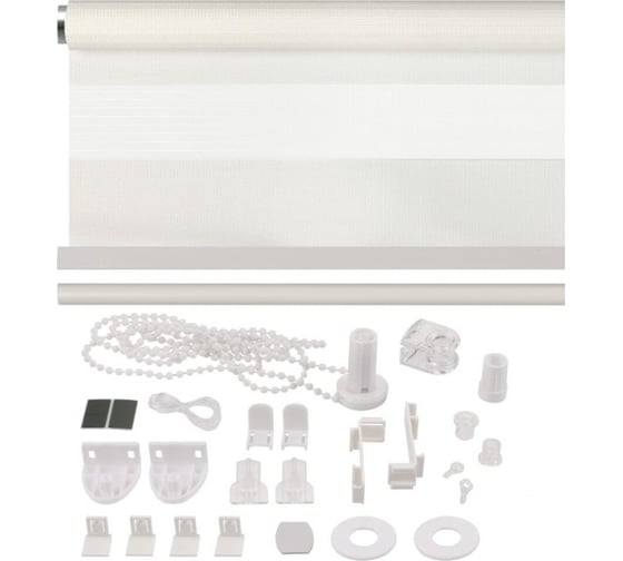 Рулонная штора PRAKTO DAY&NIGHT 65x160 см, белый 9403217610