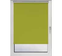 Рулонная штора PRAKTO BLACKOUT SILVER 85x160 см, зеленый 9403219766