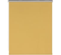 Рулонная штора PRAKTO BLACKOUT SILVER 85x160 см, медовый 9403219771