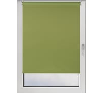 Рулонная штора PRAKTO BLACKOUT COLOR 65x160 см, зеленый 9403219858