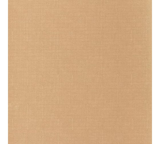 Рулонная штора PRAKTO SHANTUNG 45x165 см, бежевая 9403217507