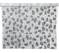 Рулонная штора PRAKTO PRINT Сосна 75х160 см, белая 9403218142