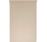 Рулонная штора PRAKTO GLASGOW 55x160 см, экрю 9403219228 7