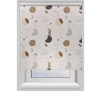 Рулонная штора PRAKTO BLACKOUT PRINT 60x160 см, Лунный заяц, белый 9403218178