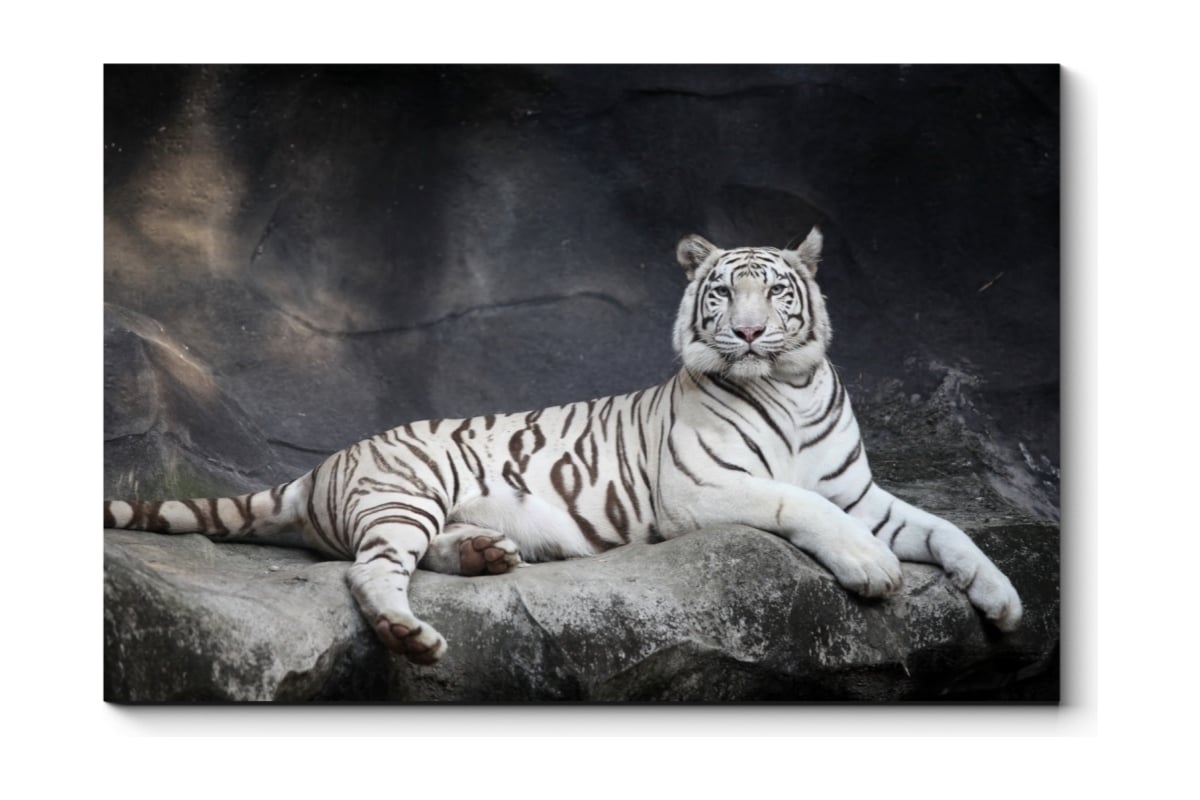 Картины маслом Тигры