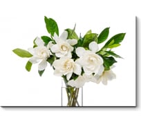 Картина Picsis Букет прекрасных гардений 660x430x40 5959-13178125