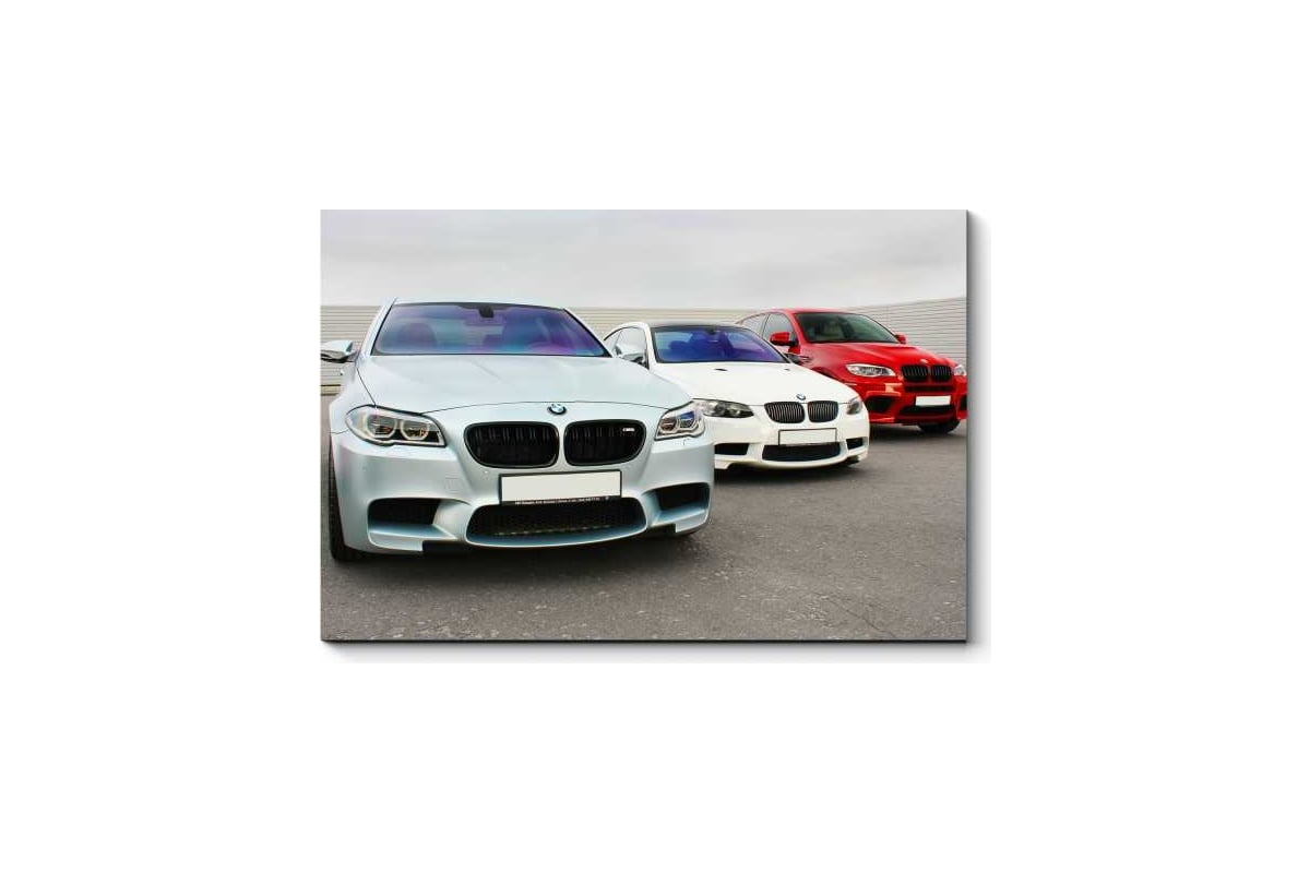 Картина Picsis BMW 660x430x40 мм 5396-10960498