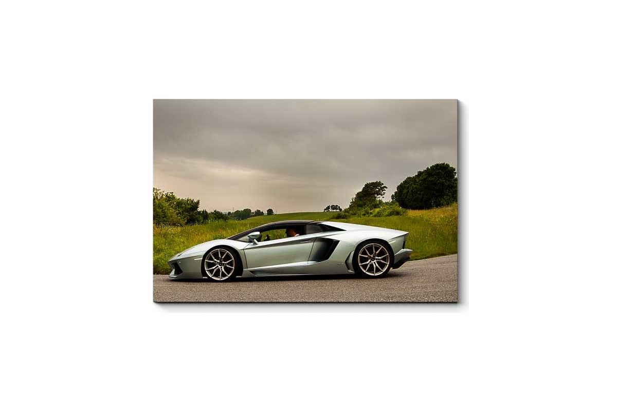  Picsis Silver Lamborghini Aventador 660x430x40  5337-10524886 -       -     