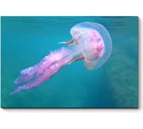 Картина Picsis Опасная розовая красавица-медуза 660x430x40 мм 1220-10053799