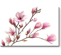 Картина Picsis Нежная ветка магнолии 660x430x40 мм 2833-12116853