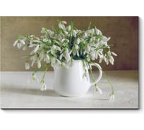 Картина Picsis Нежные подснежники 660x430x40 мм 688-10401518