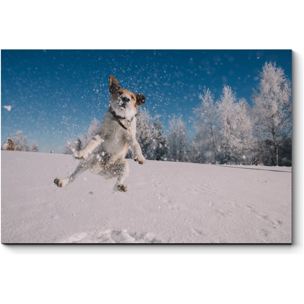 Картина Picsis Ныряя в пушистый снег 660x430x40 мм 3692-10088877 ...