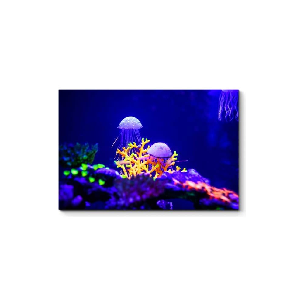 Картина Picsis Яркий мир кораллов и медуз, 660x430x40 мм 1241-10551169 ...