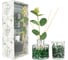 Арома сет FRESH LEMON & EUCALYPTUS Вещицы, 80 мл., Д105 Ш75 В240 ARD-16 1