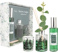 Арома сет FRESH LEMON & EUCALYPTUS Вещицы, Д235 Ш215 В63 ARD-24