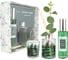 Арома сет FRESH LEMON & EUCALYPTUS Вещицы, Д235 Ш215 В63 ARD-24 1