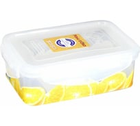 Контейнер Pomi d'Oro пластик, прямоугольный, 0,5 л RUS-575038