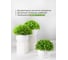 Искусственные цветы в горшке BIRD HOUSE 3 шт A3207 3