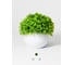 Искусственные цветы в горшке BIRD HOUSE 3 шт A3207 6