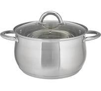 Кастрюля из нержавеющей стали со стеклянной крышкой Webber BE-354/2 d=22, 5.0 л Р1-00017154